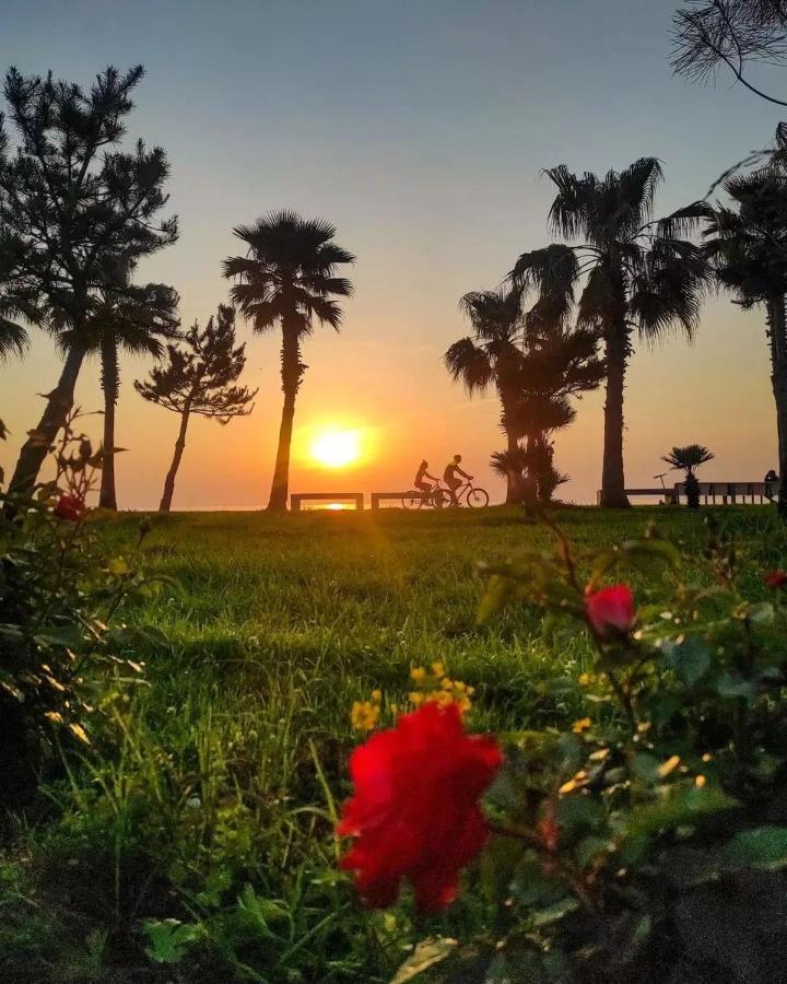 Panoramic Sea And City View Aparthotel In Orbi City באטומי מראה חיצוני תמונה